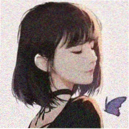 影评人苏禾的头像